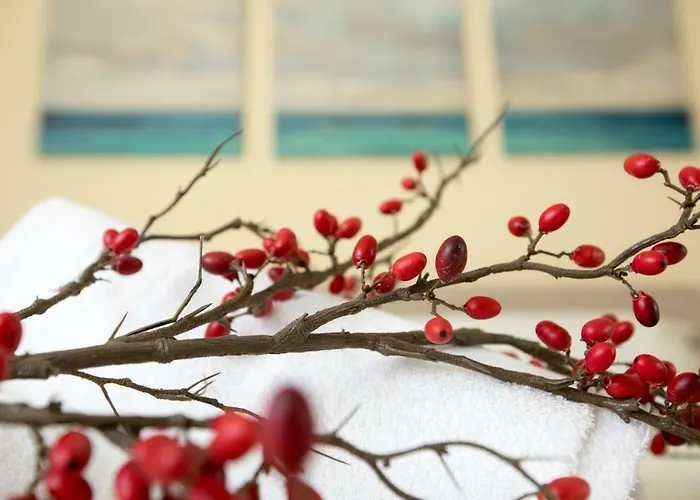 Civico 32 Apartment *